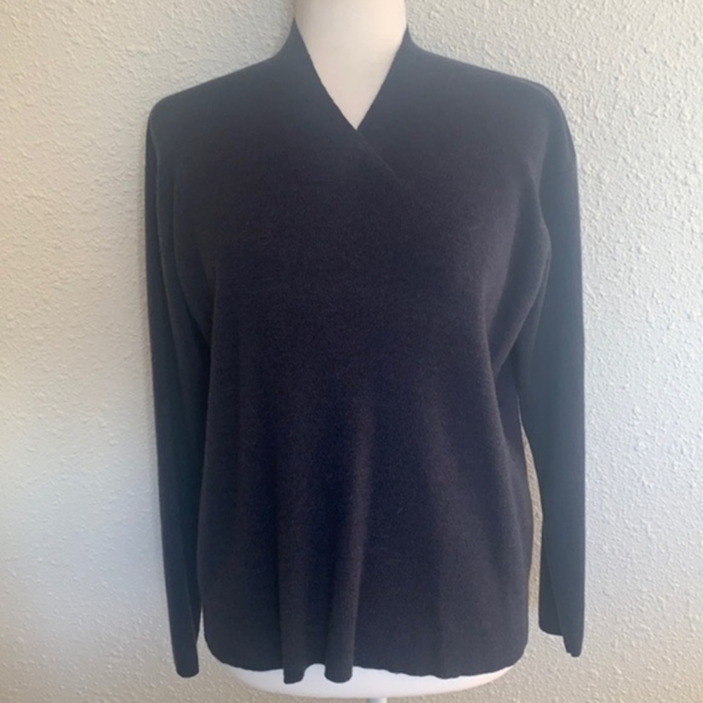 𝅺Eileen Fisher blue wool pullover v neck sweater in size petite Large